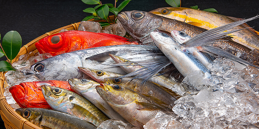 銀鱗荘 ことぶき 鮨屋のこだわり