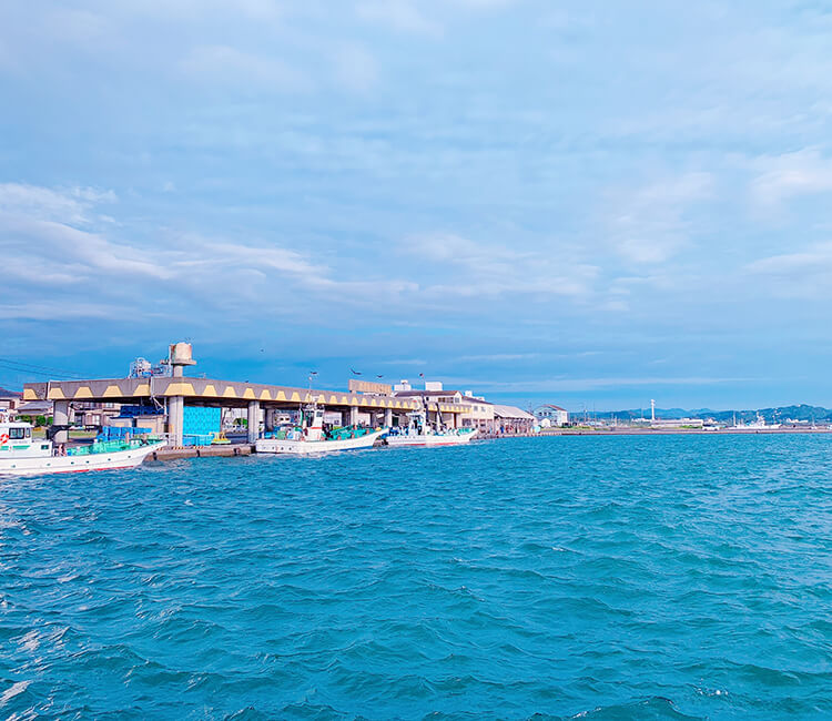 銀鱗荘 ことぶき お問い合わせ